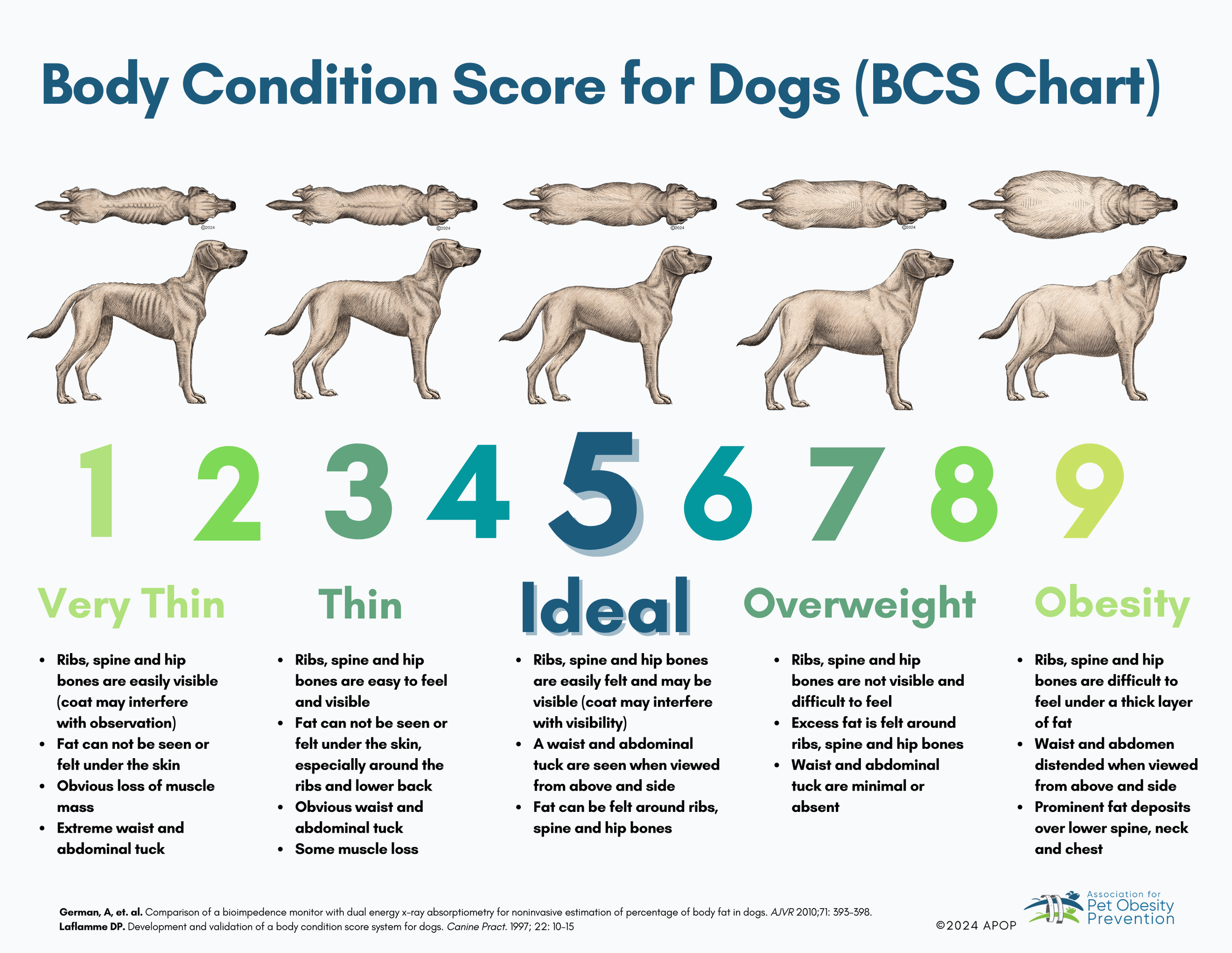 Dog Body Condition Score Chart